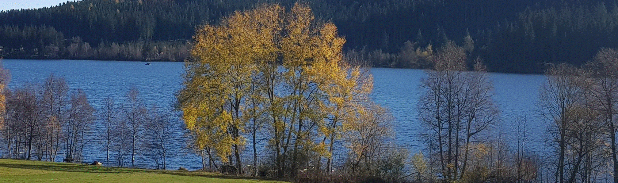 Unterkrummenhof mit Blick auf den Schluchsee
